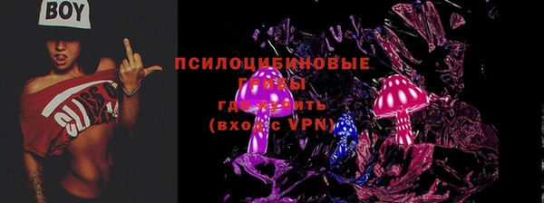 PSILOCYBIN Богородицк